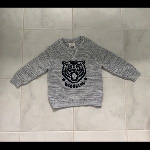 Zara sweater toddler (4T)